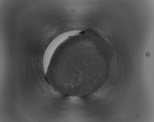 X0000090450528200708031220