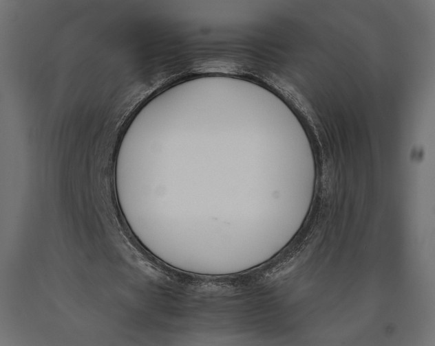 X0000090450529200708031220