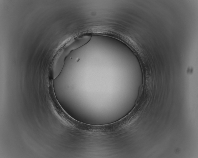 X0000090450530200708031220