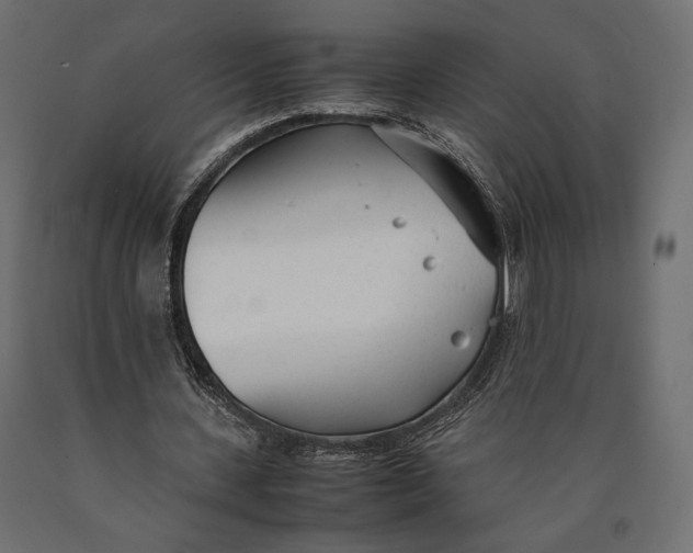 X0000090450531200708031220