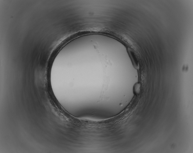 X0000090450532200708031220