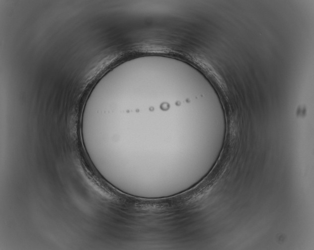 X0000090450533200708031220