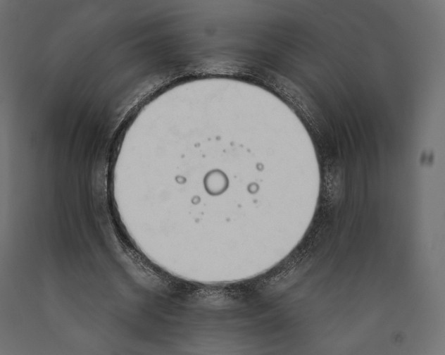 X0000090450534200708031220