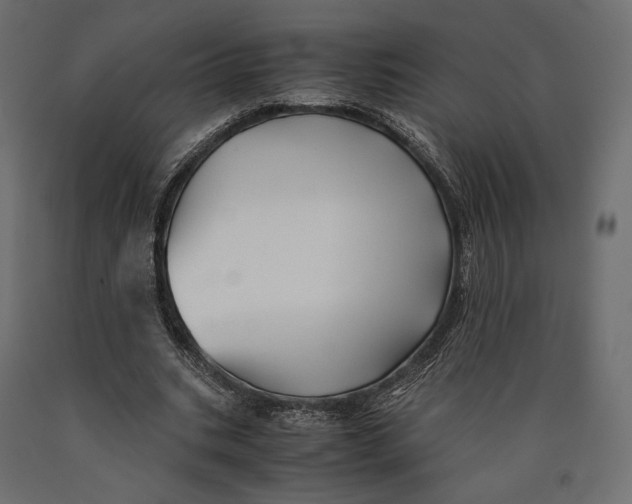 X0000090450535200708031220