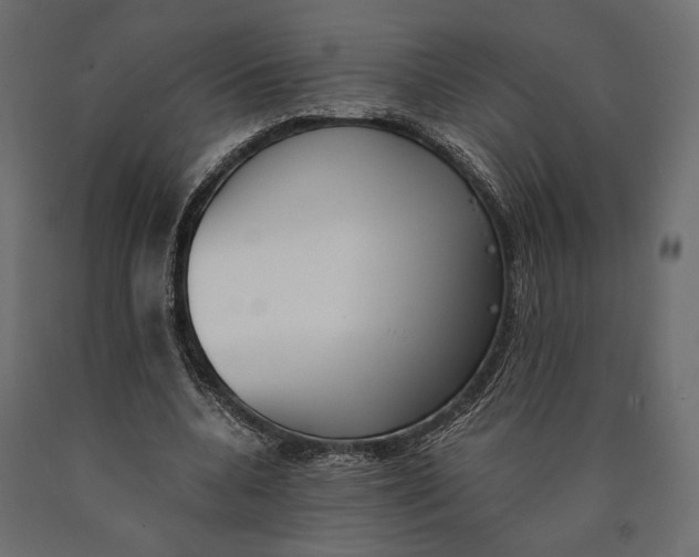 X0000090450536200708031220