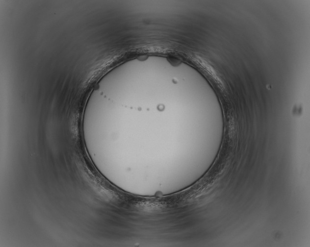 X0000090450537200708031220