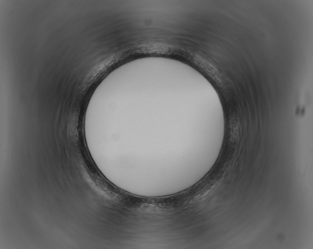 X0000090450538200708031220