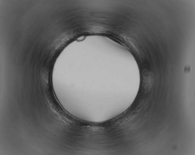 X0000090450539200708031220