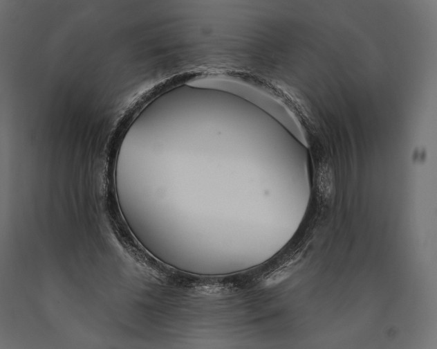 X0000090450540200708031220