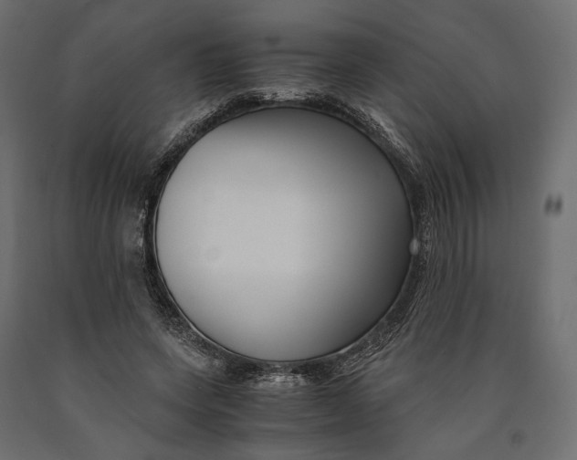 X0000090450543200708031220