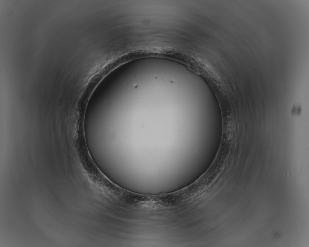 X0000090450544200708031220