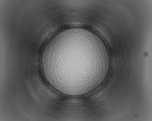 X0000090450545200708031220