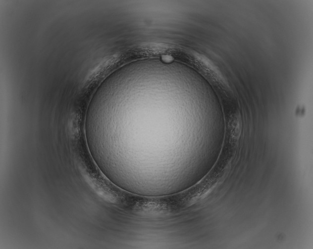 X0000090450546200708031220