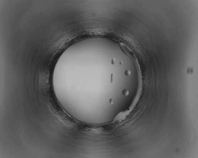 X0000090450548200708031220