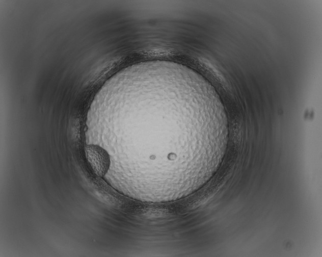 X0000090450549200708031220