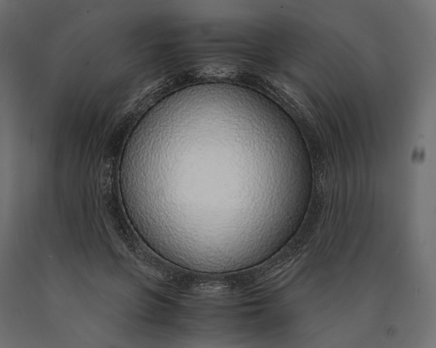 X0000090450551200708031220