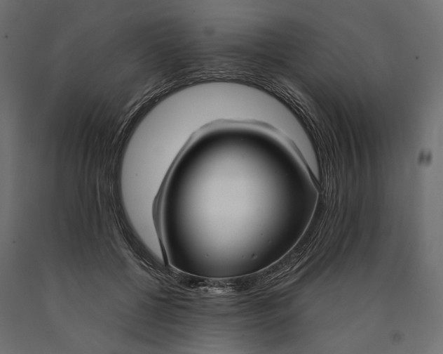 X0000090450552200708031220