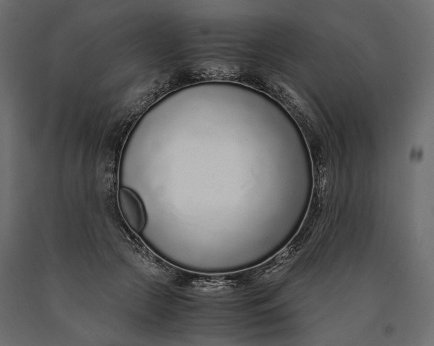 X0000090450553200708031220