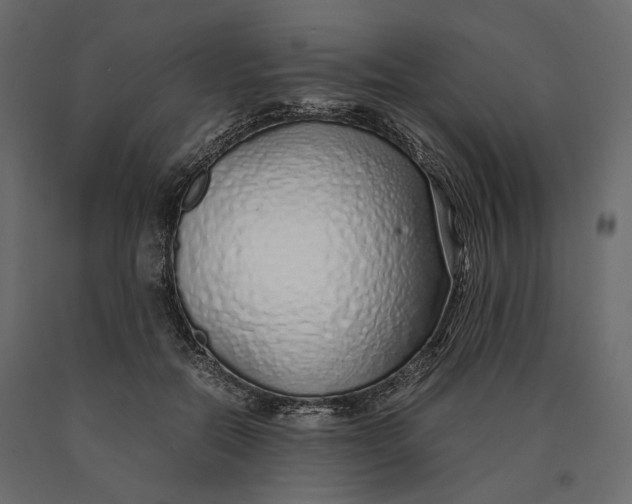 X0000090450554200708031220