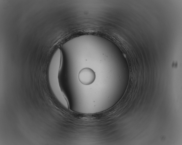 X0000090450556200708031220