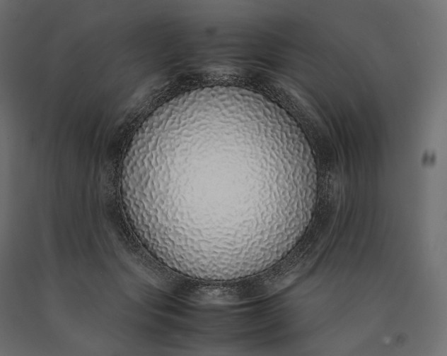 X0000090450557200708031220