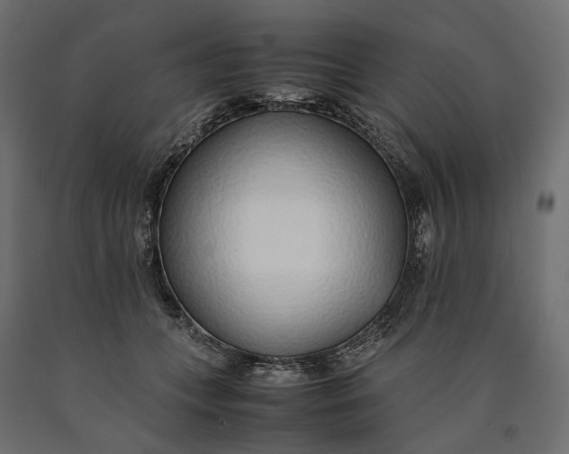 X0000090450559200708031220