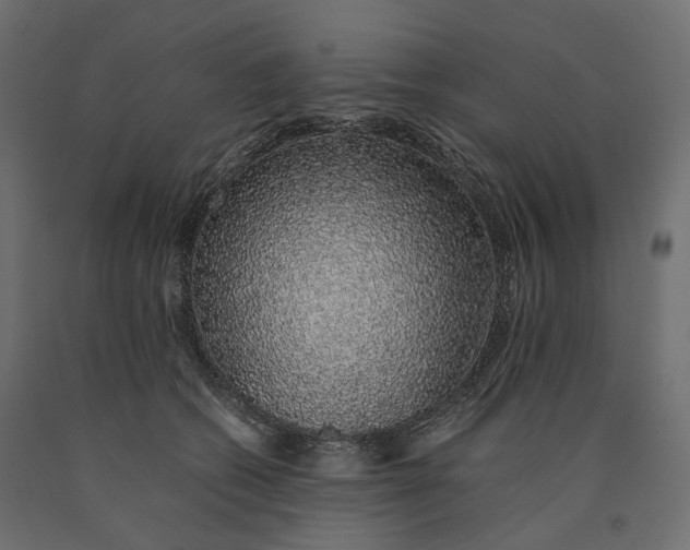 X0000090450562200708031220