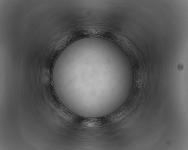 X0000090450563200708031220