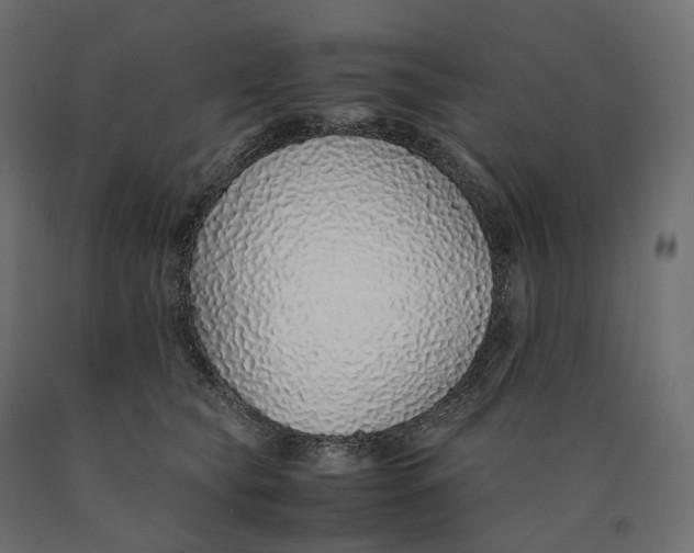 X0000090450565200708031220