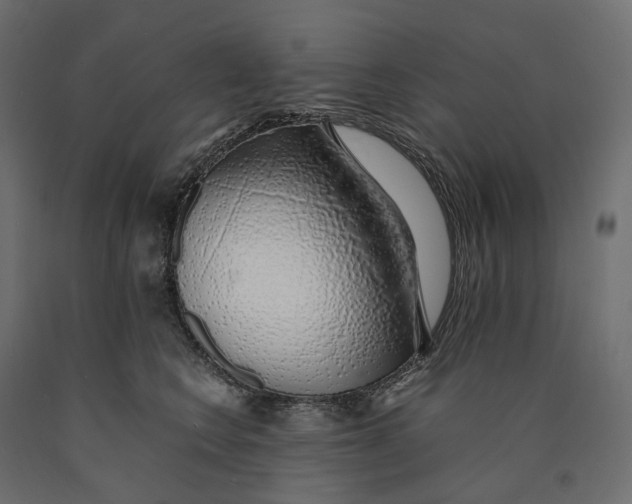 X0000090450566200708031220