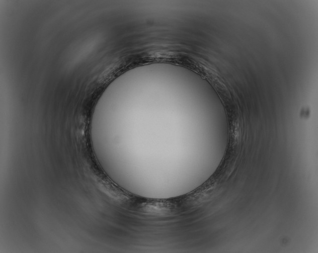 X0000090450567200708031220