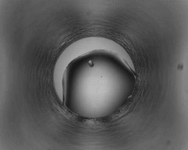 X0000090450568200708031220