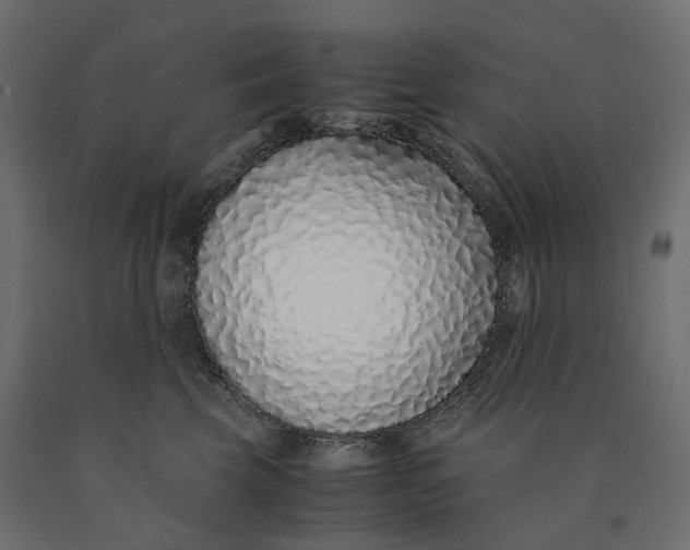 X0000090450569200708031220