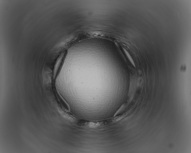 X0000090450570200708031220