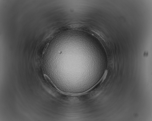 X0000090450572200708031220