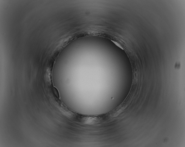 X0000090450575200708031220