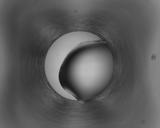 X0000090450576200708031220