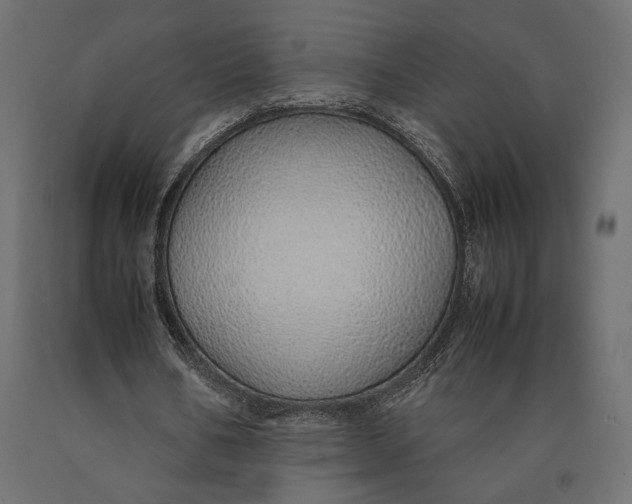 X0000090450578200708031220