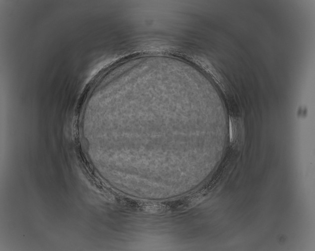 X0000090450579200708031220