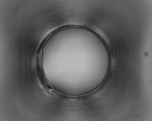 X0000090450580200708031220