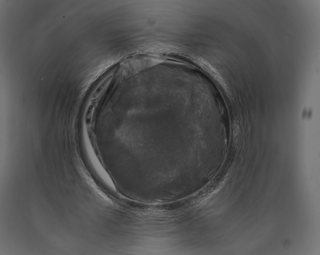 X0000090450581200708031220