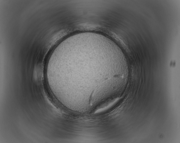 X0000090450582200708031219