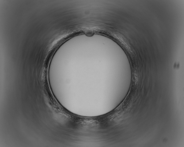 X0000090450583200708031219