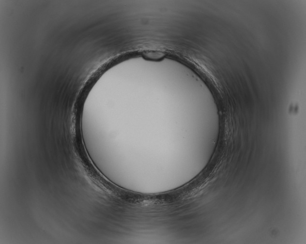 X0000090450584200708031219