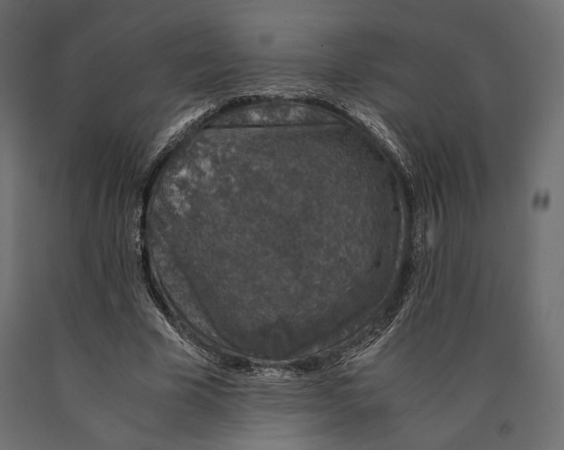 X0000090450585200708031219