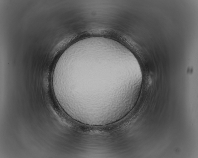 X0000090450586200708031219