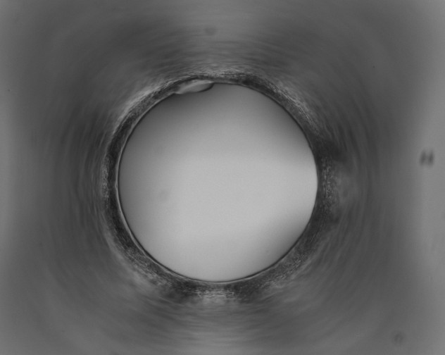 X0000090450587200708031219