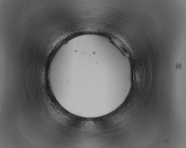 X0000090450588200708031219