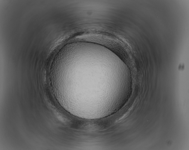 X0000090450589200708031219