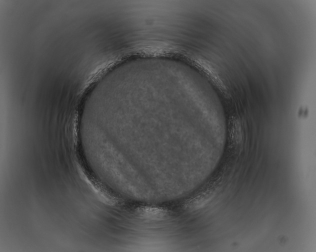 X0000090450590200708031219